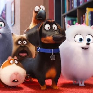 Non perdetevi il film di animazione “Pets – Vita da animali” !