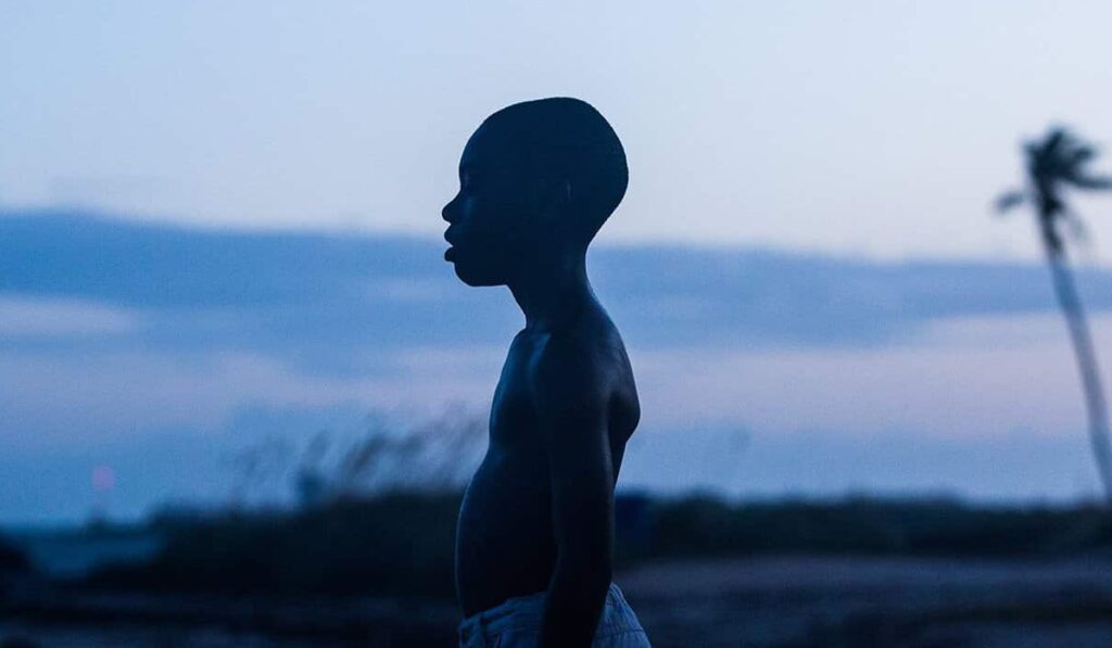 Moonlight: la sera in cui l’Oscar al Miglior film andò per sbaglio a La La Land