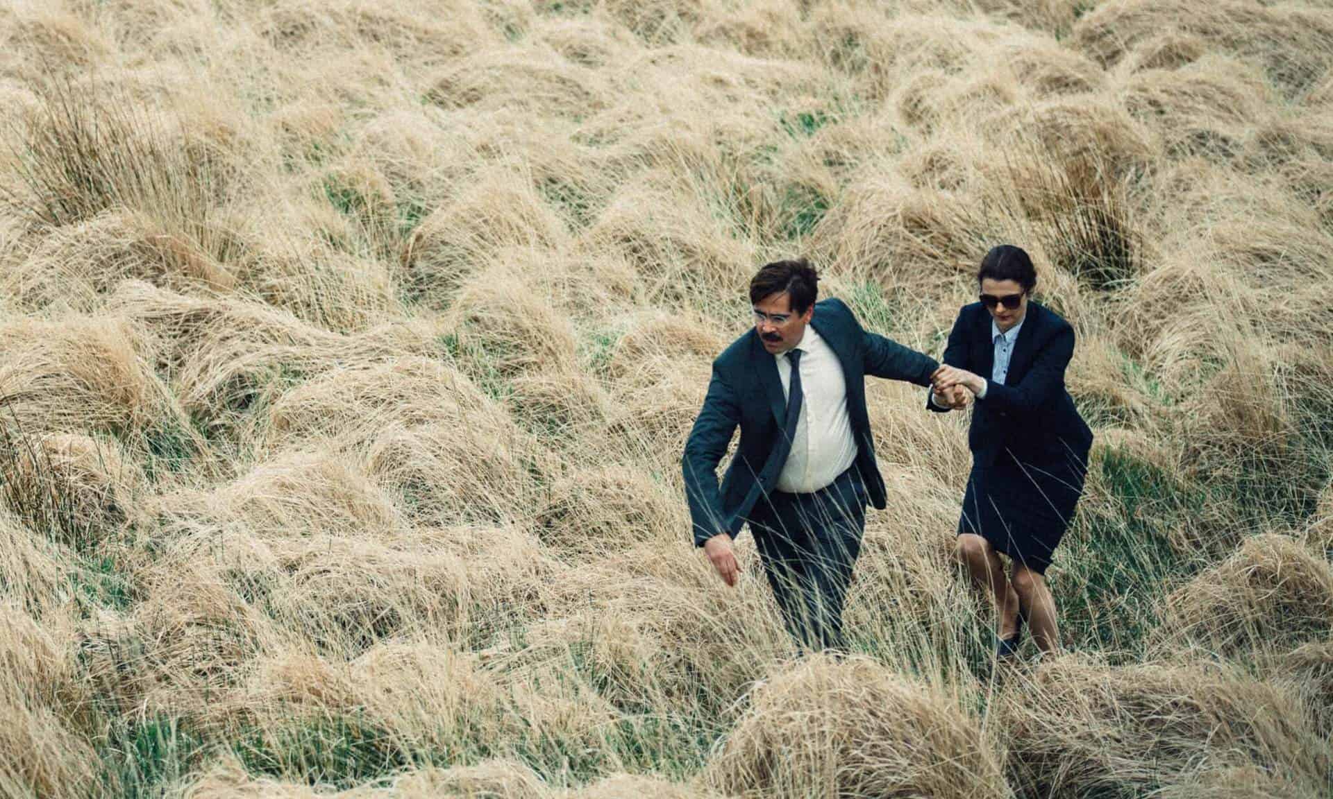 the lobster recensione