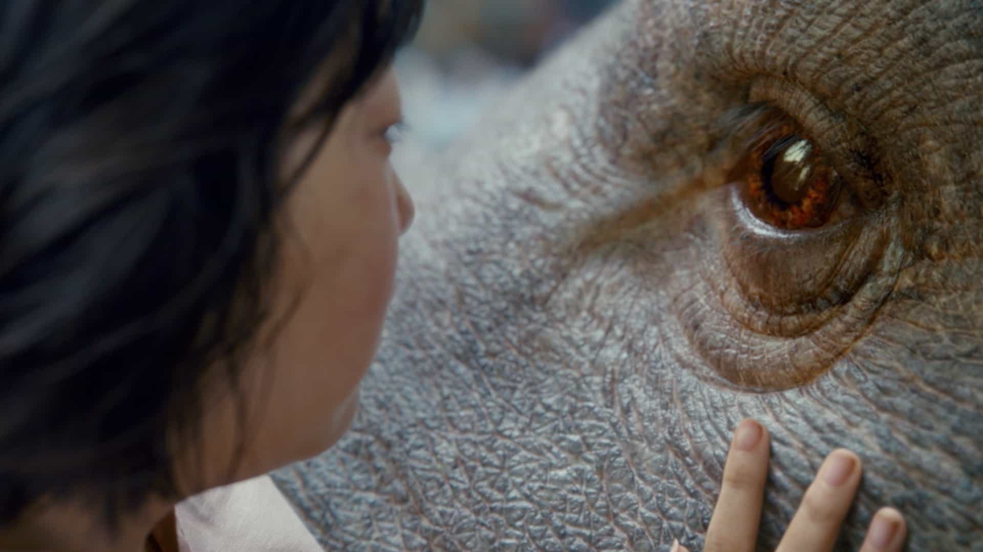 Okja – Il cinema del futuro ha un ottimo sapore