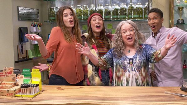 serie tv da vedere a gennaio disjointed