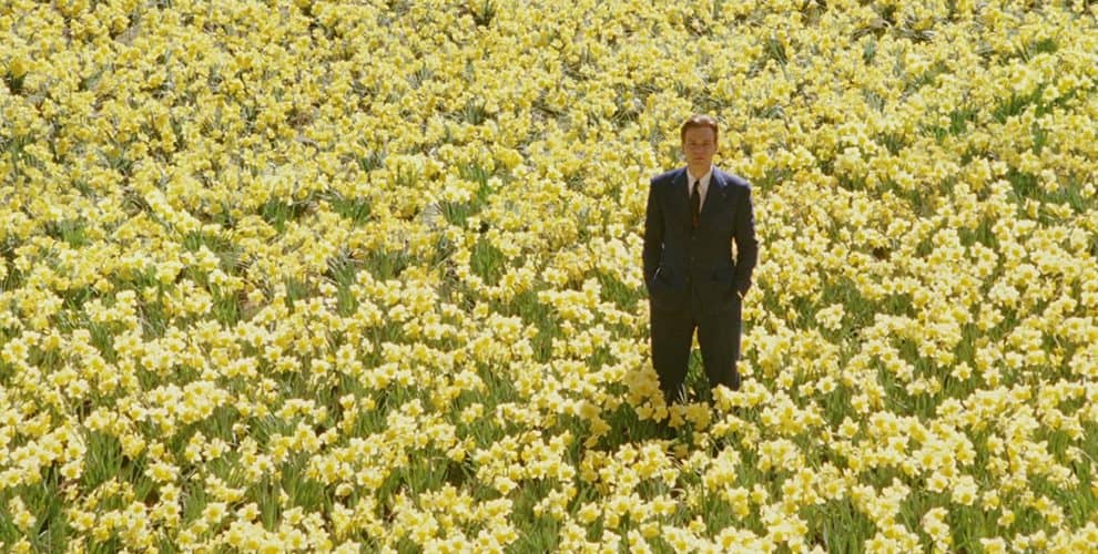 film su timivision da vedere
