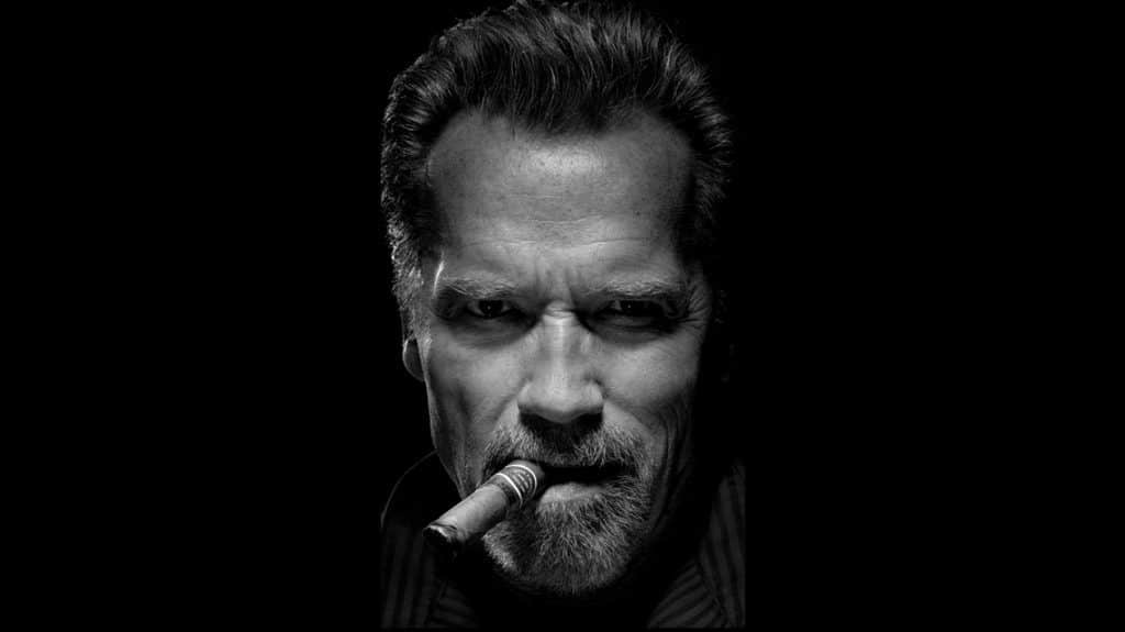 Kung Fury Arnold Schwarzenegger nel film