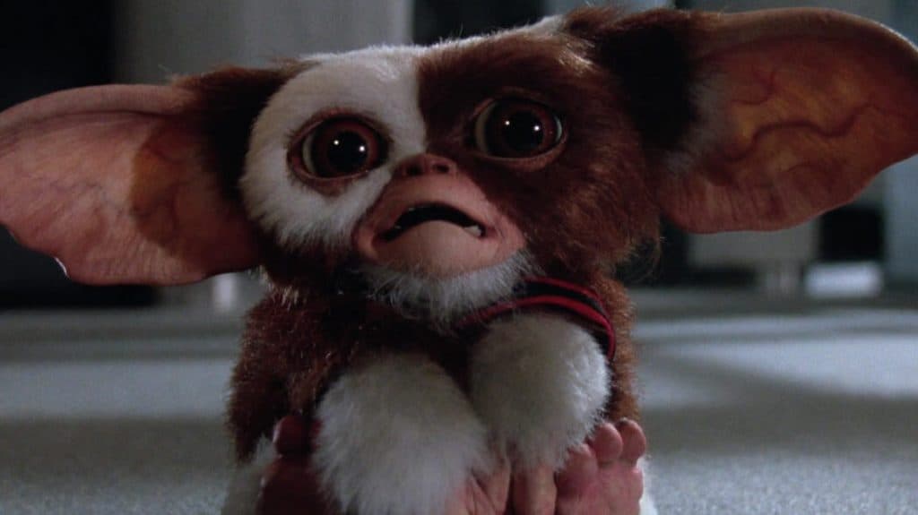 Gremlins 3: lo sceneggiatore Chris Columbus è al lavoro sul terzo capitolo