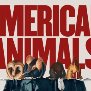 American Animals: il trailer del nuovo film con Evan Peters!