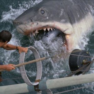 Lo Squalo: Steven Spielberg si rammarica dell’impatto che il film ha avuto sugli squali