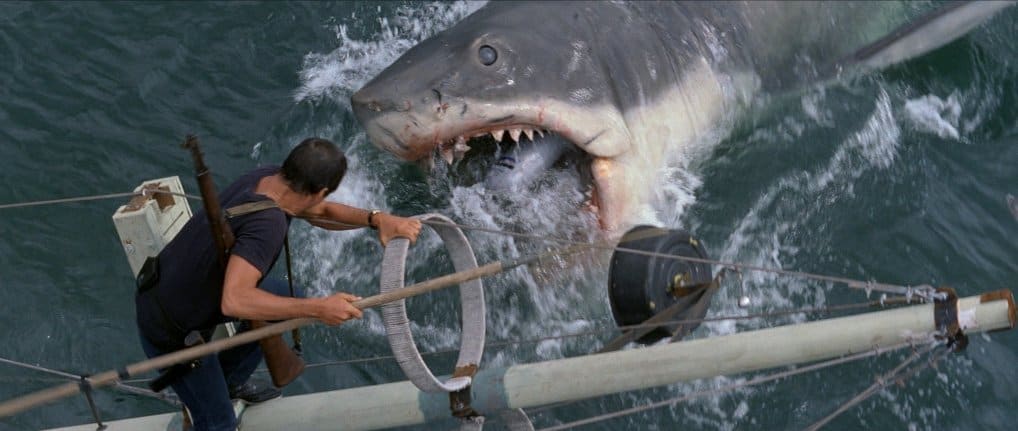 film da vedere mare lo squalo