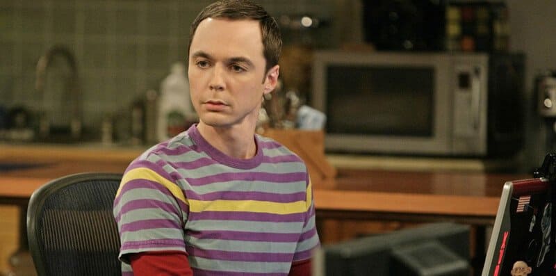 the big bang theory fine 