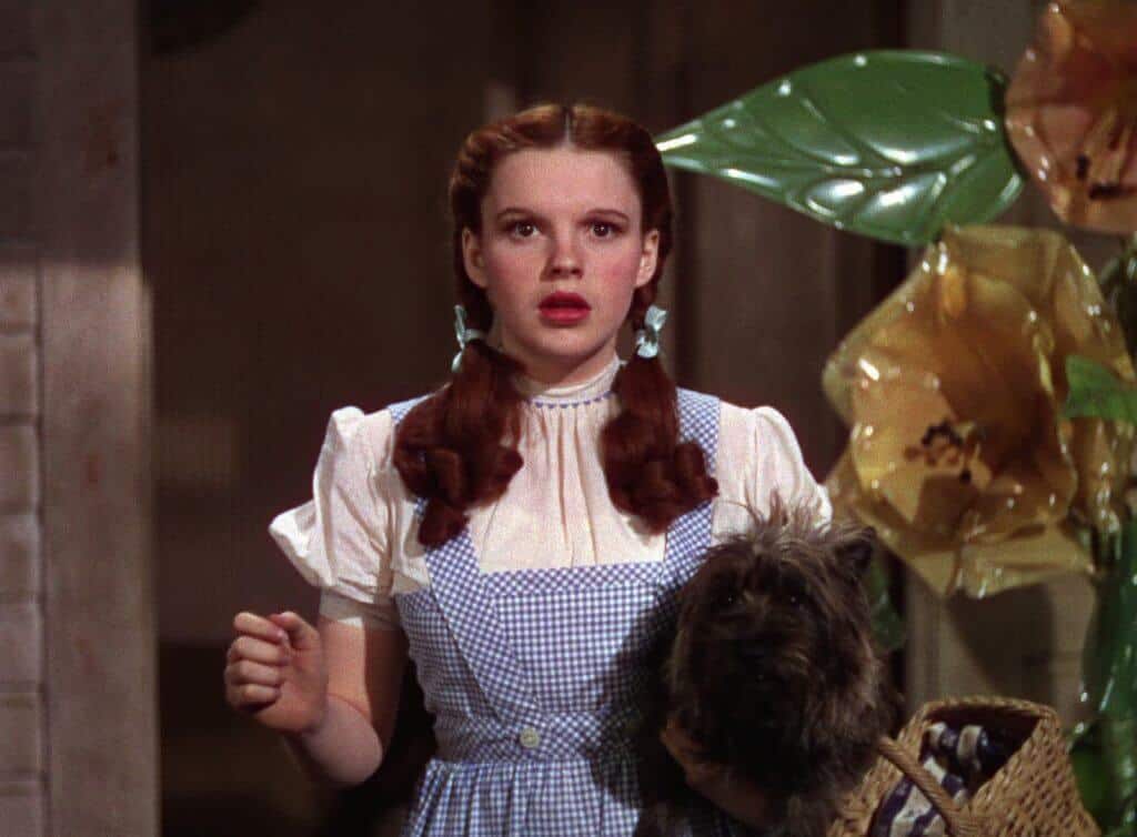 Personaggi iconici: Dorothy Gale, protagonista de Il mago di Oz