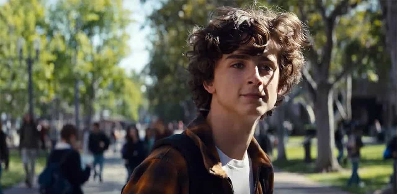 timothée chalamet film estate 2019 