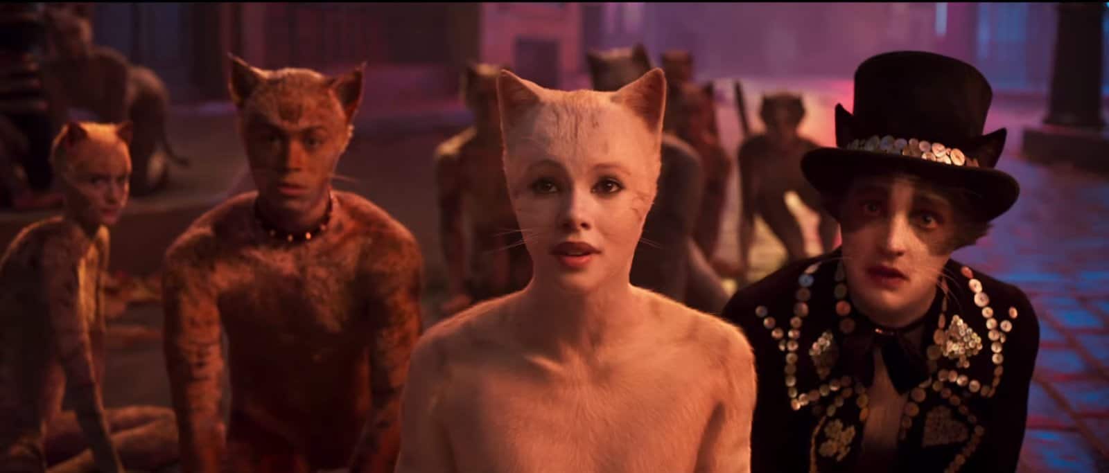 oscar 2020 cats