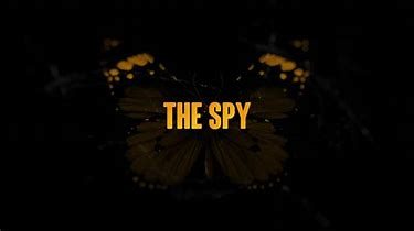 the spy serie netflix