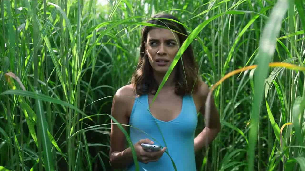 5 film horror poco conosciuti da vedere su Netflix tutti da scoprire 5 nell'erba alta recensione