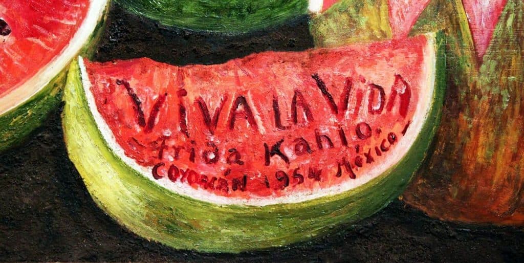 frida viva la vida recensione