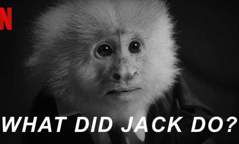 what did jack do david lynch