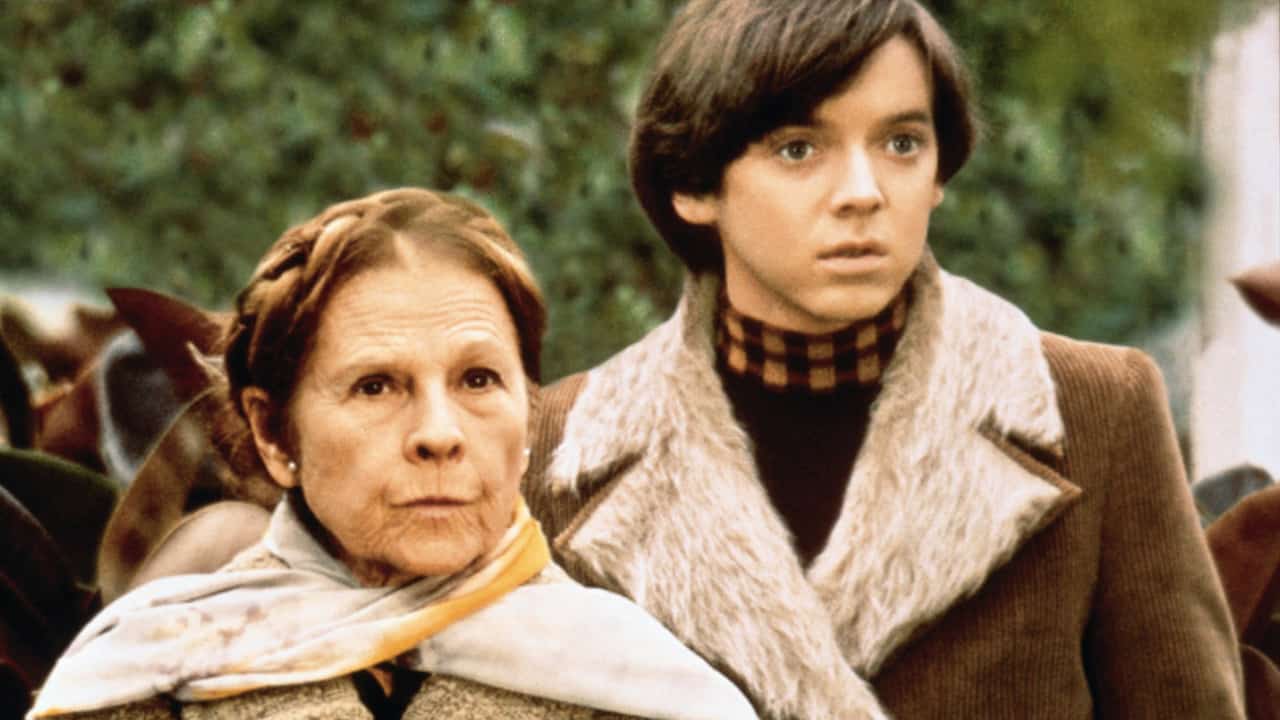 Harold e maude