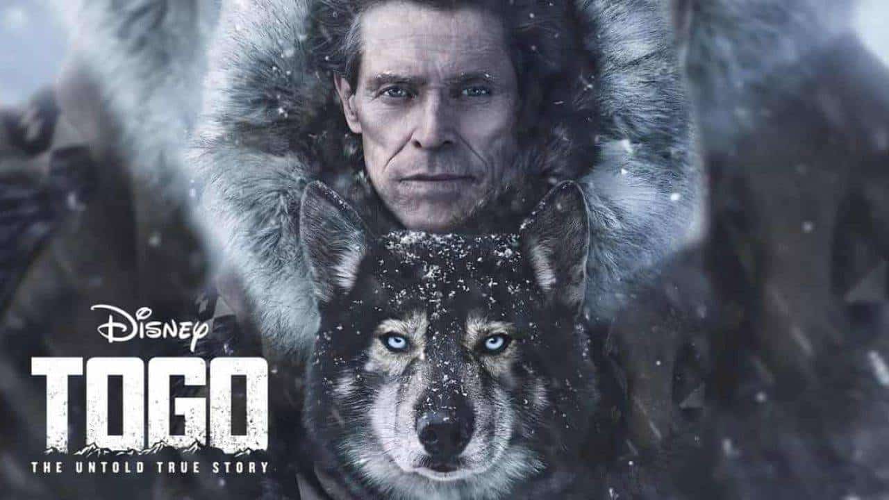 Togo – Una grande amicizia: recensione del film Disney+ con Willem Dafoe