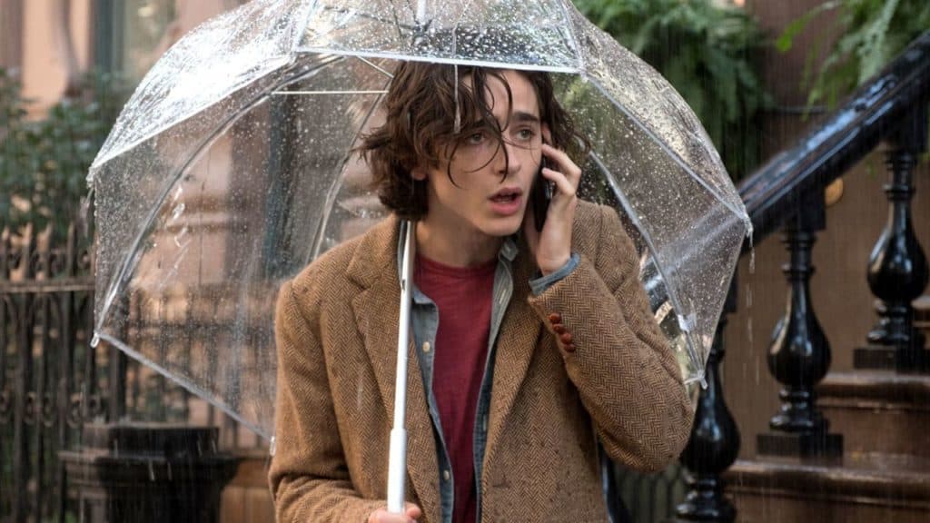 woody allen chalamet