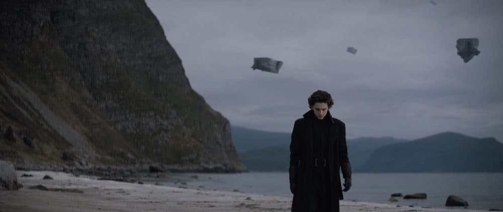 dune timothée chalamet