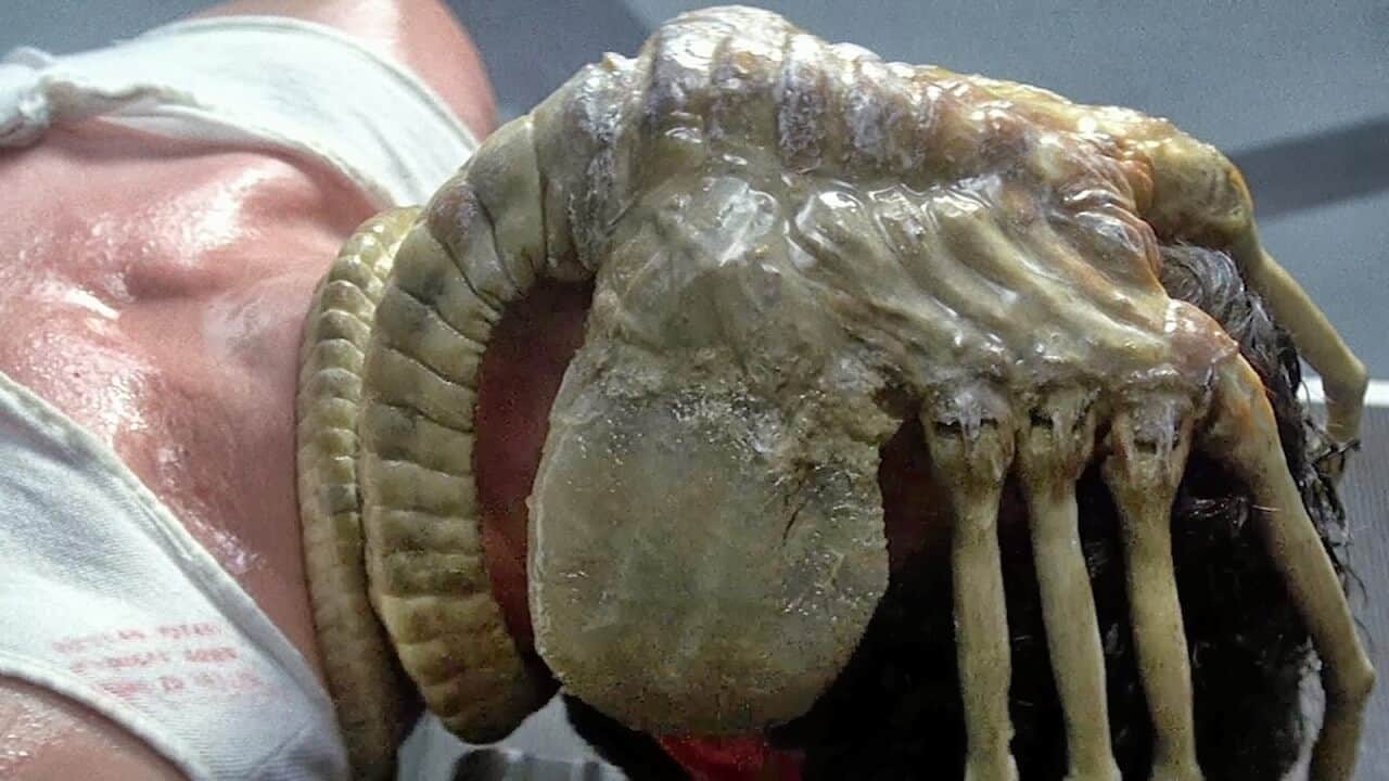 Alien: la mascherina di una fan diventa un Facehugger