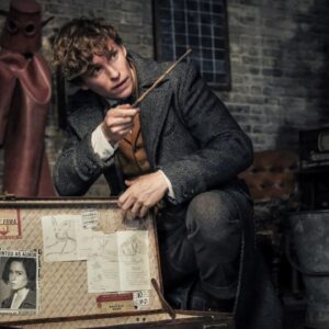 Animali Fantastici: Eddie Redmayne parla del futuro dello spin-off e del franchise di Harry Potter