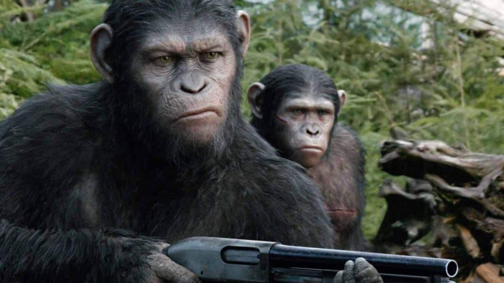 L’Alba del Pianeta delle Scimmie: il film in tendenze su Twitter a causa di un curioso furto in India 1 furto scimmie