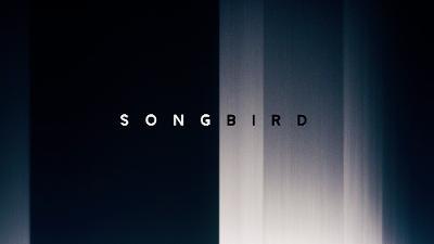 songbird michael bay