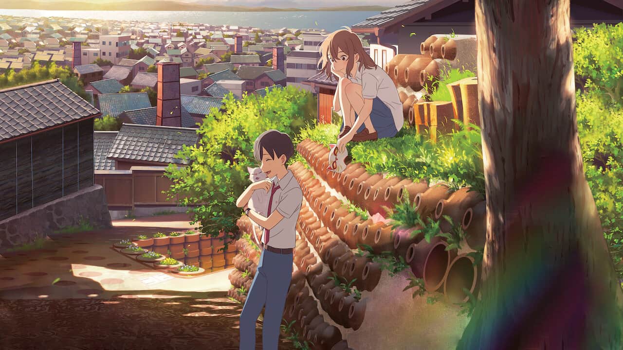 Miyo – Un amore felino: recensione del film anime sbarcato su Netflix