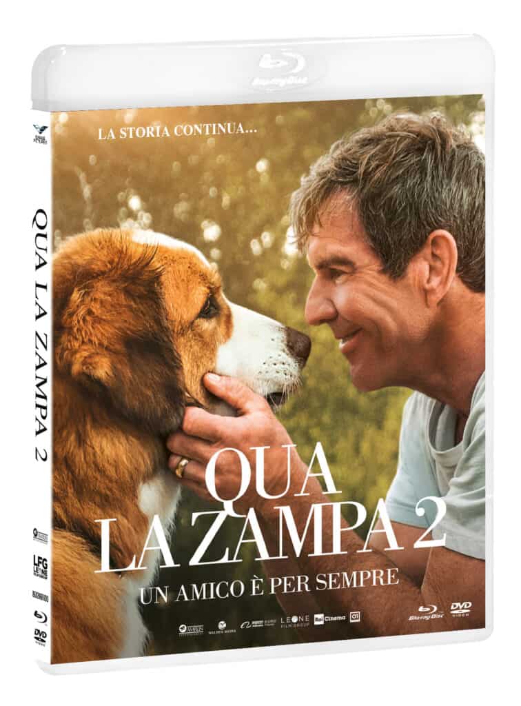 qui la zampa 2 home video