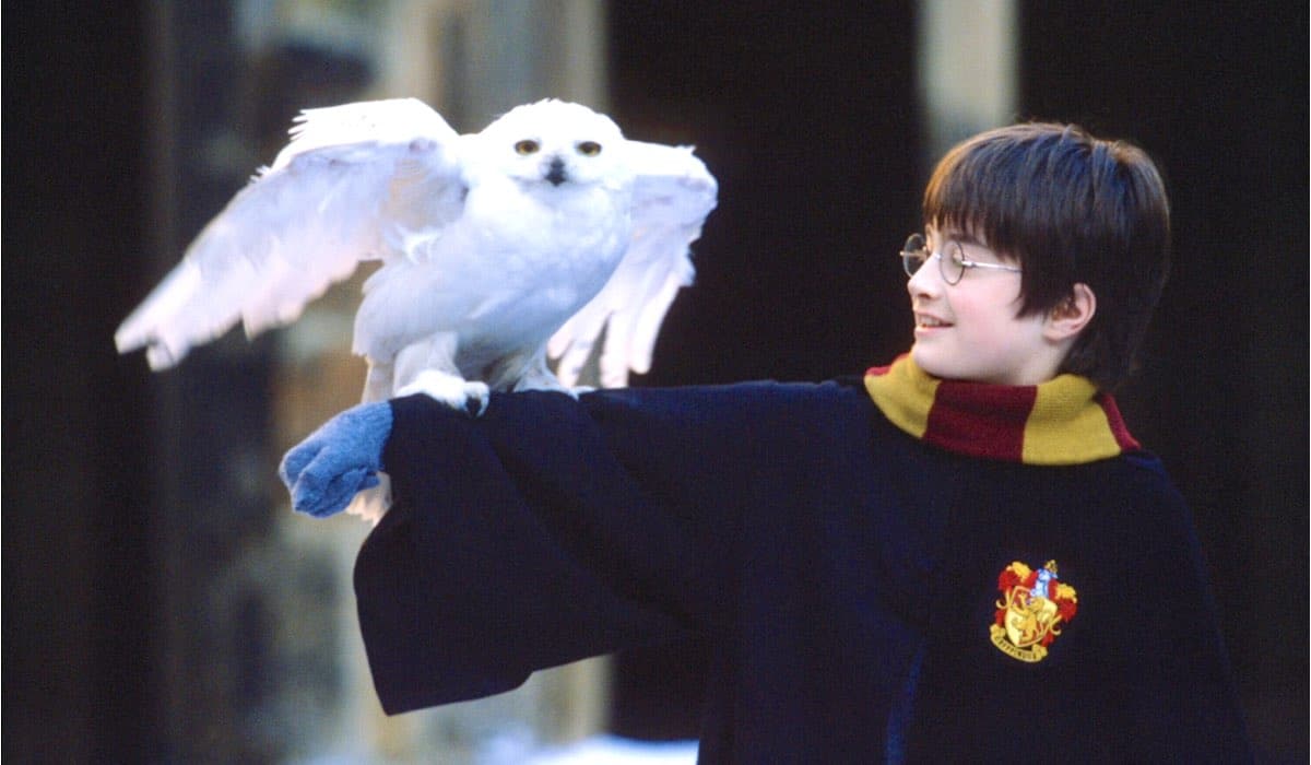 Quiz: quanto conosci il film “Harry Potter e la pietra filosofale”?