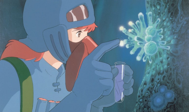 nausicaa della valle del vento migliori citazioni hayao miyazaki