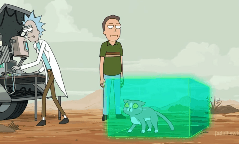 rick and morty gatto