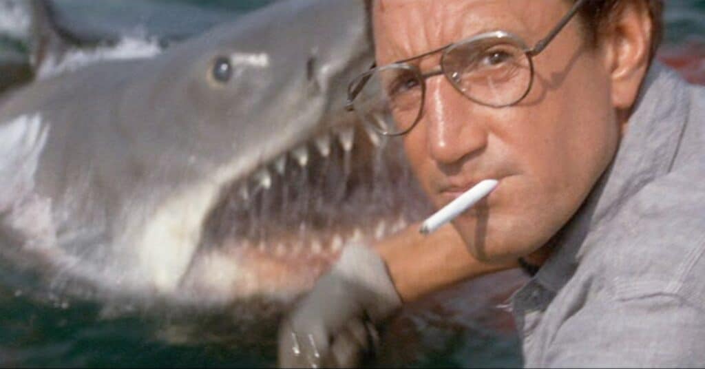 lo squalo jaws 1975 steven spielberg 04