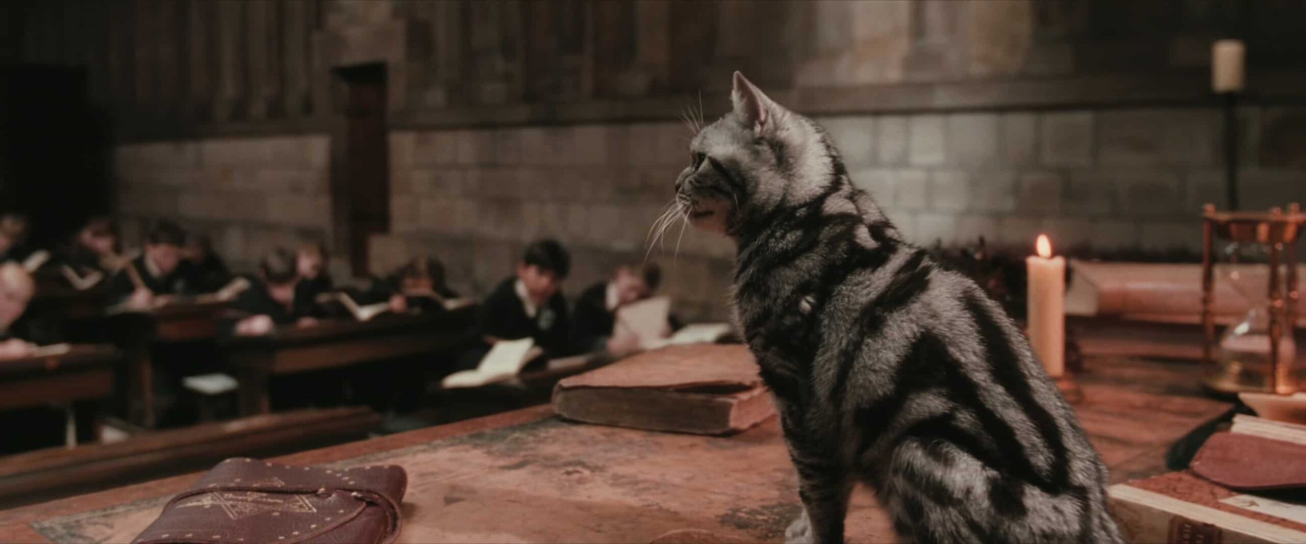 Quiz Harry Potter: quale sarebbe la tua forma da animagus?