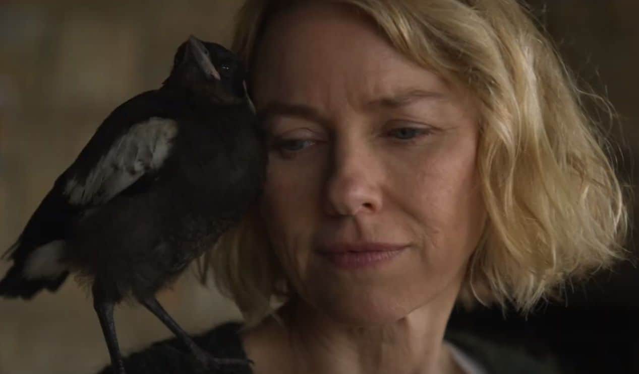 Penguin Bloom: nuovo trailer del film con Naomi Watts e Andrew Lincoln