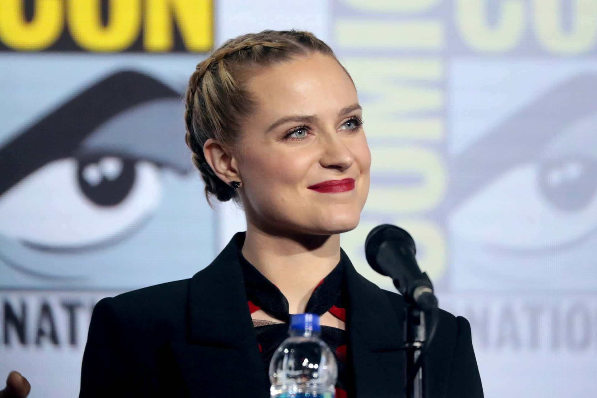 Thelma & Louise diventa un musical con Amanda Seyfried ed Evan Rachel Wood possibili protagoniste! 3 evan rachel wood thelma & louise