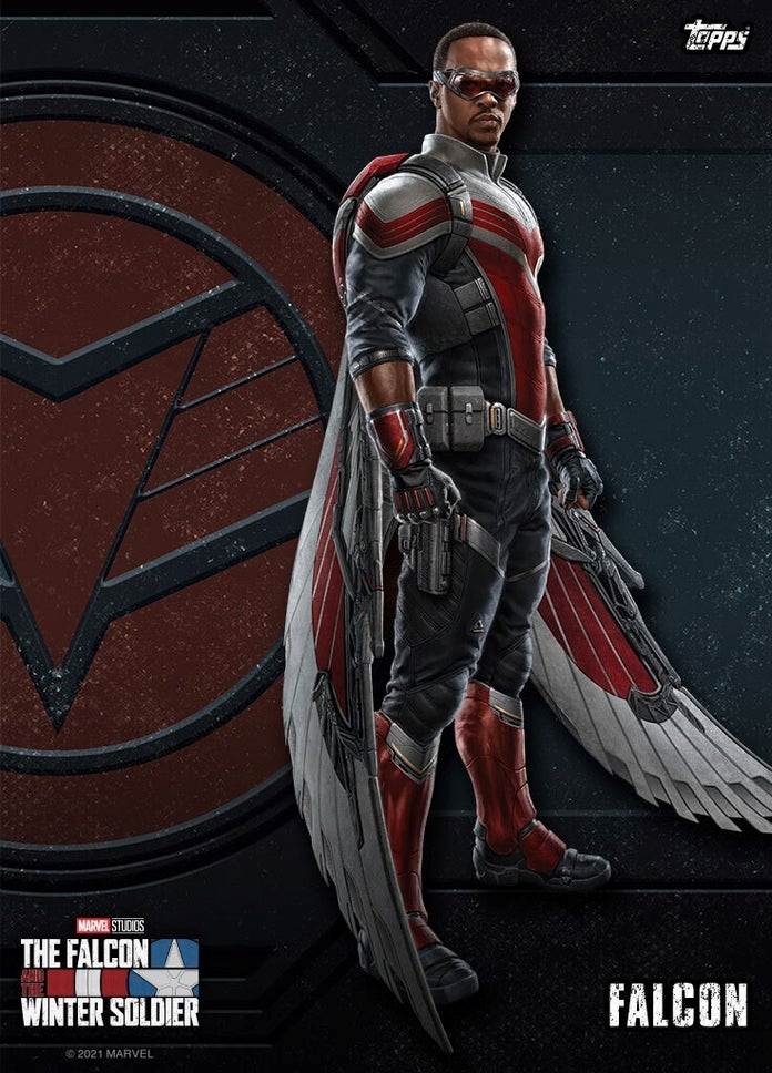 Falcon and The Winter Soldier look