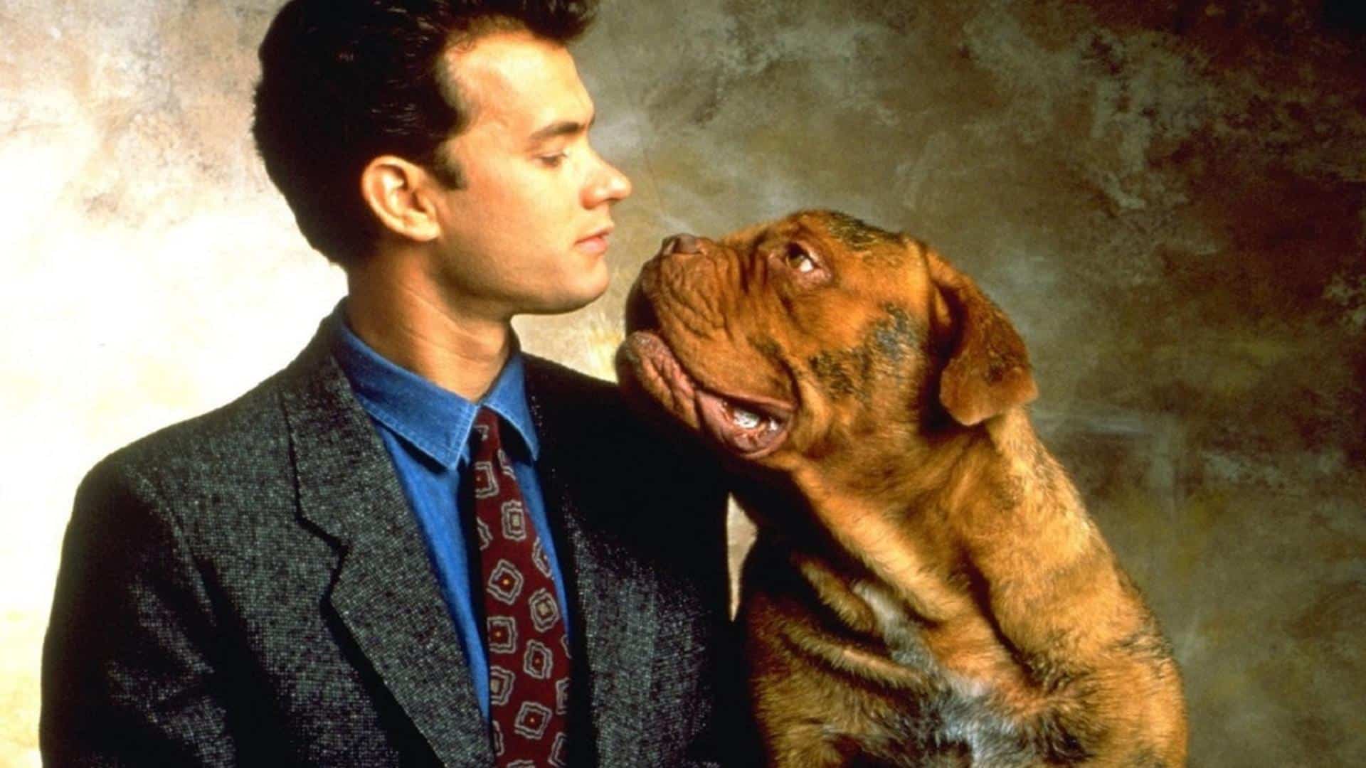 Turner & Hooch: in arrivo su Disney+ la serie sequel del film con Tom Hanks