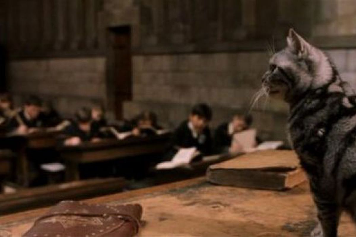 quiz harry potter quale forma assumerebbe il tuo molliccio 3