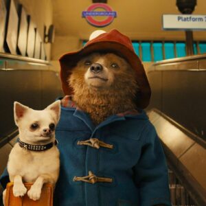 film da vedere stasera in tv, paddington