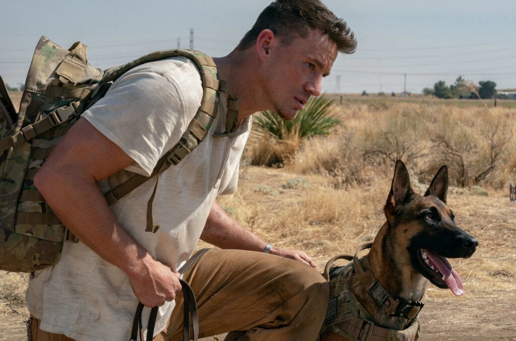 Io e Lulù: recensione del film di Channing Tatum