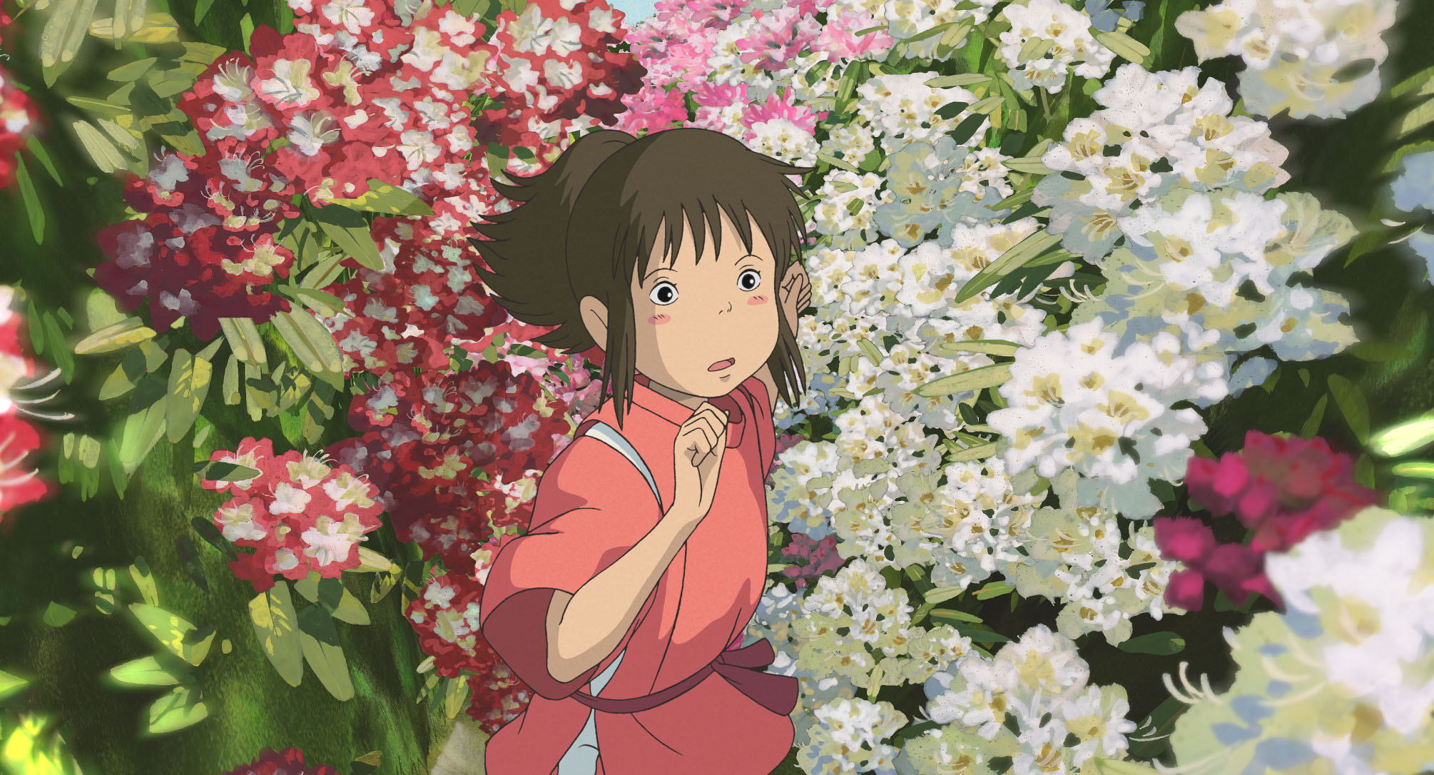 Film da vedere stasera su Netflix | Hayao Miyazaki cinema