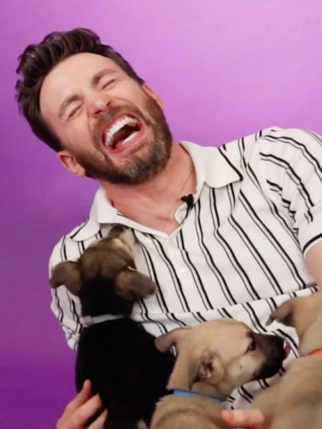 Chris Evans: l’intervista in mezzo ai cuccioli per l’uscita di Lightyear è irresistibile! [VIDEO]