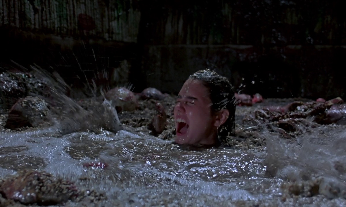 Phenomena: Titanus annuncia il sequel del thriller soprannaturale di Dario Argento, sarà ambientato ai giorni nostri 2 phenomena sequel