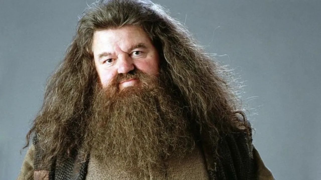 robbie coltrane