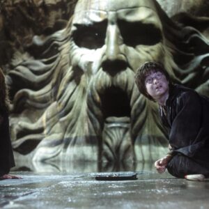 Harry Potter e la Camera dei Segreti: i fan discutono sull’horcrux e sul veleno del basilisco