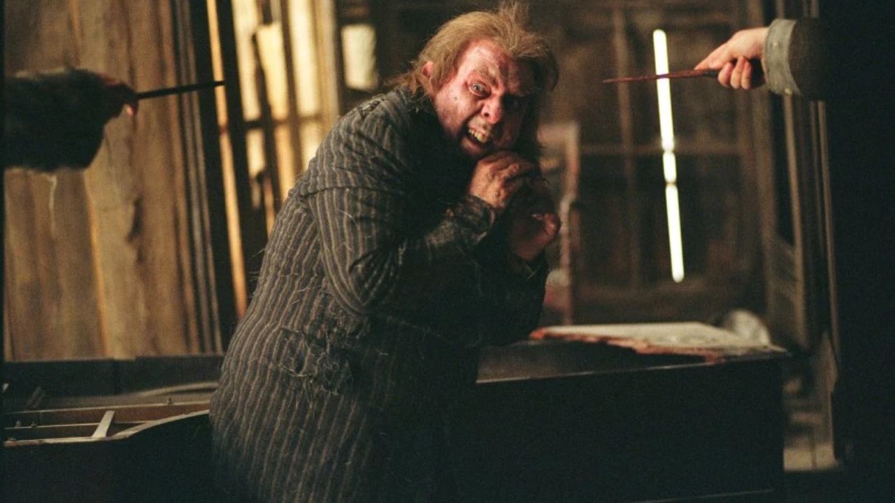 harry potter