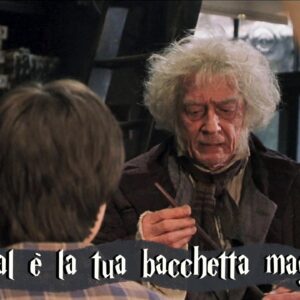 Harry Potter Quiz: qual è la tua bacchetta magica?