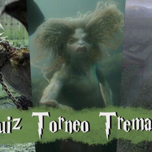 Harry Potter Quiz: che sfida del Torneo Tremaghi vinceresti?