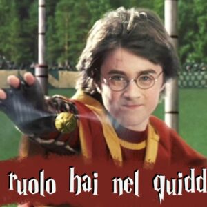 Harry Potter Quiz: che ruolo avresti nella squadra di Quidditch?